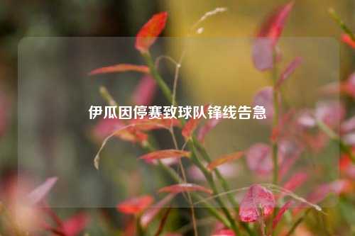 伊瓜因停赛致球队锋线告急