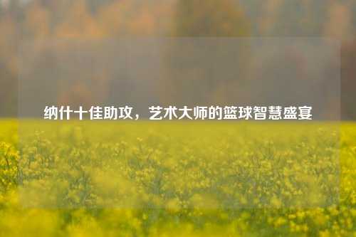纳什十佳助攻,艺术大师的篮球智慧盛宴
