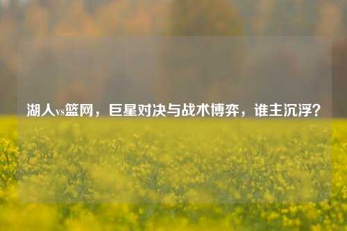 湖人vs篮网,巨星对决与战术博弈,谁主沉浮?