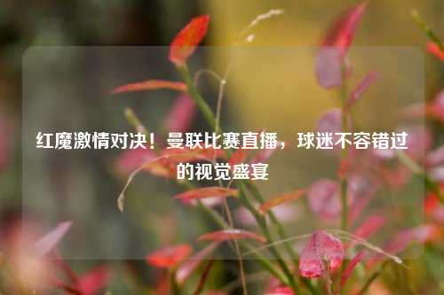 红魔激情对决!曼联比赛直播,球迷不容错过的视觉盛宴