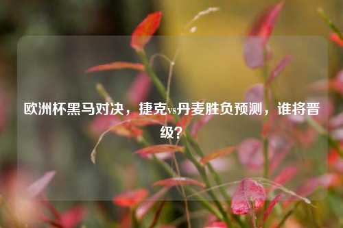 欧洲杯黑马对决,捷克vs丹麦胜负预测,谁将晋级?