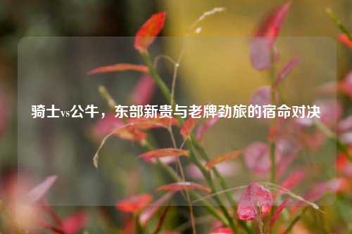 骑士vs公牛,东部新贵与老牌劲旅的宿命对决