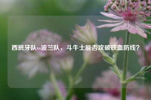 西班牙队vs波兰队,斗牛士能否攻破铁血防线?