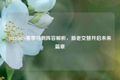 2023-2024赛季马刺阵容解析,新老交替开启未来篇章