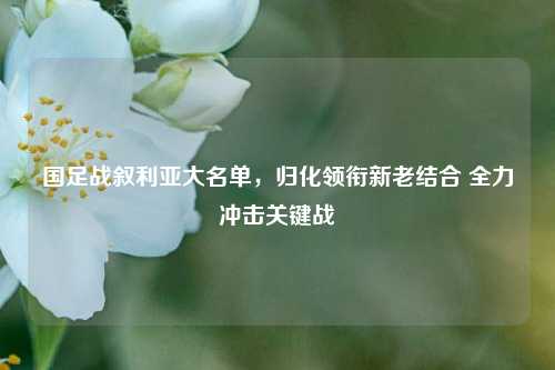 国足战叙利亚大名单，归化领衔新老结合 全力冲击关键战