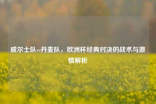 威尔士队vs丹麦队,欧洲杯经典对决的战术与激情解析