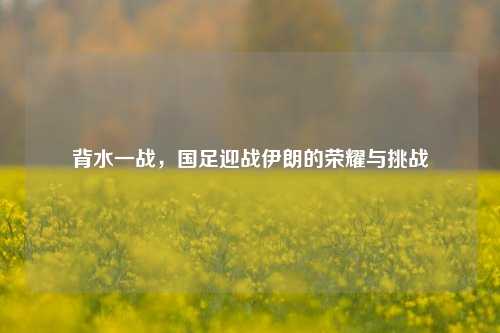 背水一战,国足迎战伊朗的荣耀与挑战