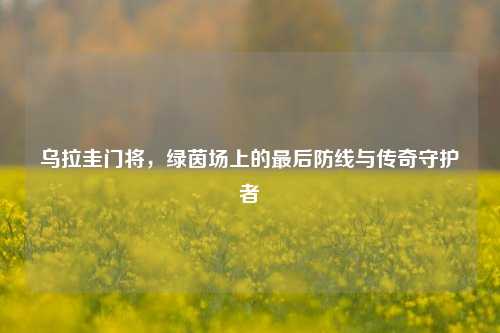 乌拉圭门将,绿茵场上的最后防线与传奇守护者