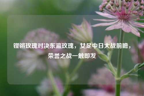 铿锵玫瑰对决东瀛玫瑰,女足中日大战前瞻,荣誉之战一触即发