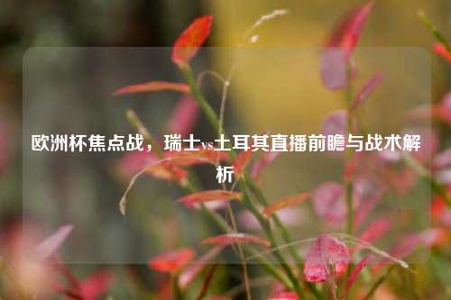 欧洲杯焦点战,瑞士vs土耳其直播前瞻与战术解析