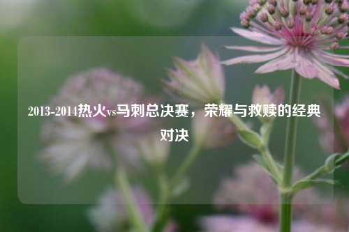 2013-2014热火vs马刺总决赛,荣耀与救赎的经典对决