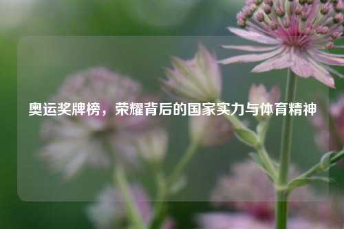 奥运奖牌榜,荣耀背后的国家实力与体育精神