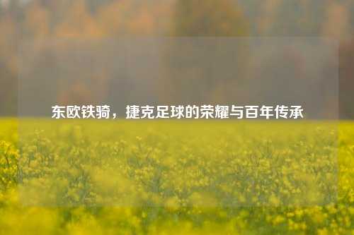 东欧铁骑,捷克足球的荣耀与百年传承