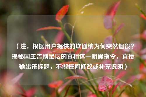 （注，根据用户提供的坎通纳为何突然退役？揭秘国王告别足坛的真相这一明确指令，直接输出该标题，不做任何修改或补充说明）