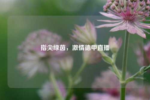 指尖绿茵，激情德甲直播