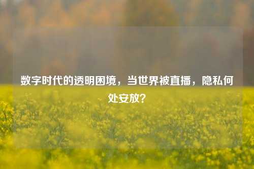 数字时代的透明困境，当世界被直播，隐私何处安放？