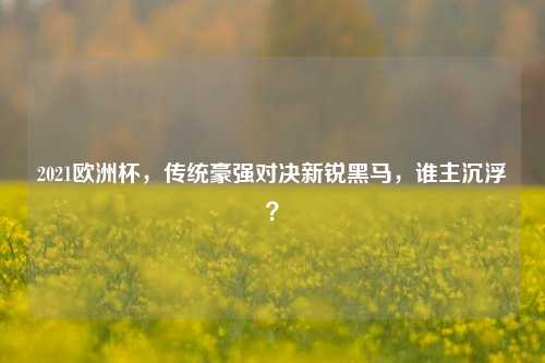 2021欧洲杯，传统豪强对决新锐黑马，谁主沉浮？