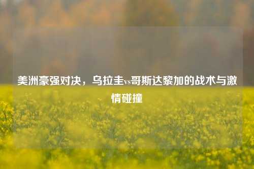 美洲豪强对决，乌拉圭vs哥斯达黎加的战术与激情碰撞