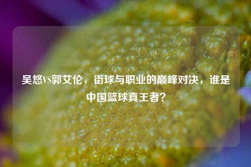 吴悠VS郭艾伦，街球与职业的巅峰对决，谁是中国篮球真王者？