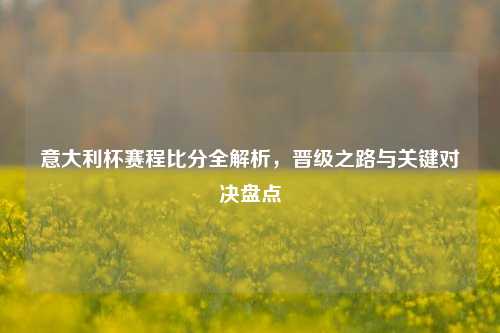 意大利杯赛程比分全解析，晋级之路与关键对决盘点