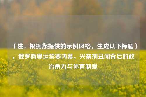 （注，根据您提供的示例风格，生成以下标题），俄罗斯奥运禁赛内幕，兴奋剂丑闻背后的政治角力与体育制裁