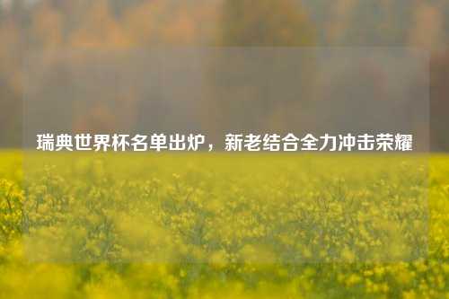 瑞典世界杯名单出炉，新老结合全力冲击荣耀