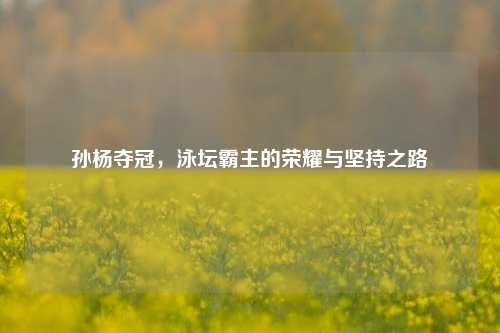 孙杨夺冠，泳坛霸主的荣耀与坚持之路