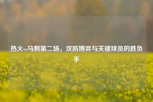 热火vs马刺第二场，攻防博弈与关键球员的胜负手