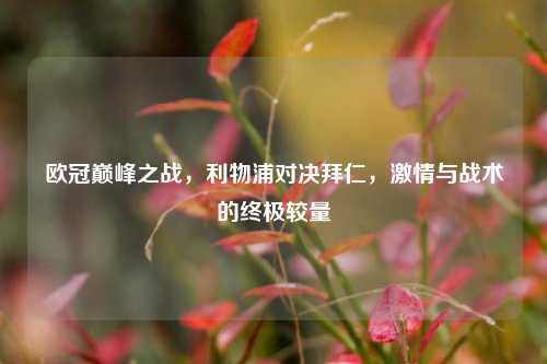 欧冠巅峰之战，利物浦对决拜仁，激情与战术的终极较量