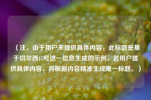 （注，由于用户未提供具体内容，此标题是基于切尔西17号这一信息生成的示例。若用户提供具体内容，将根据内容精准生成唯一标题。）