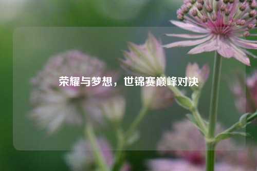 荣耀与梦想，世锦赛巅峰对决
