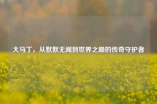 大马丁，从默默无闻到世界之巅的传奇守护者