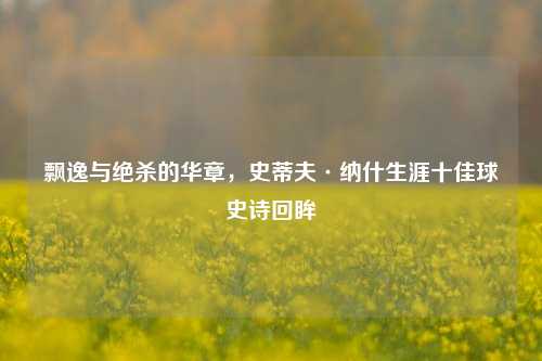 飘逸与绝杀的华章，史蒂夫·纳什生涯十佳球史诗回眸