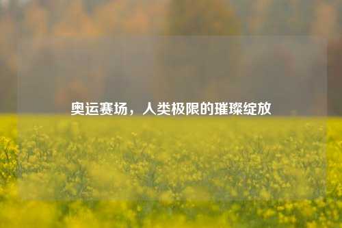 奥运赛场，人类极限的璀璨绽放