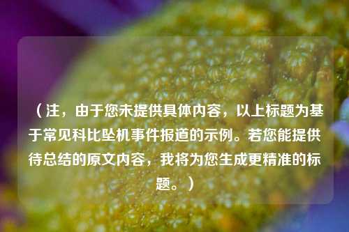 （注，由于您未提供具体内容，以上标题为基于常见科比坠机事件报道的示例。若您能提供待总结的原文内容，我将为您生成更精准的标题。）