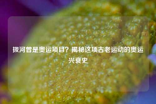 拔河曾是奥运项目？揭秘这项古老运动的奥运兴衰史