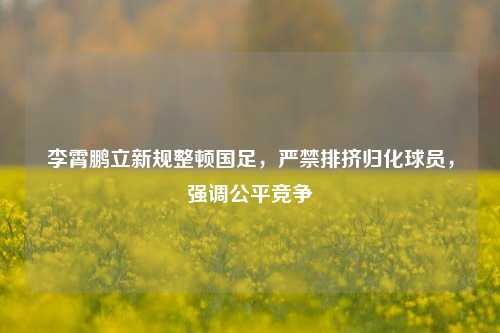 李霄鹏立新规整顿国足，严禁排挤归化球员，强调公平竞争