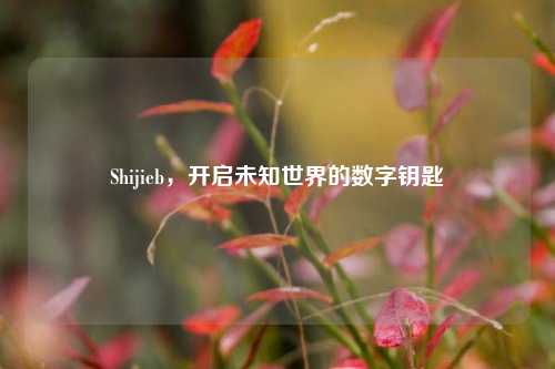 Shijieb，开启未知世界的数字钥匙
