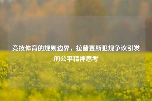 竞技体育的规则边界，拉普赛斯犯规争议引发的公平精神思考