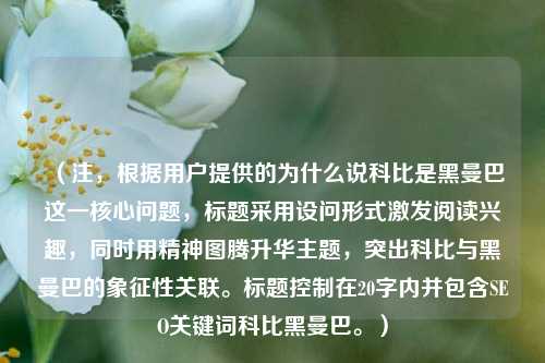 （注，根据用户提供的为什么说科比是黑曼巴这一核心问题，标题采用设问形式激发阅读兴趣，同时用精神图腾升华主题，突出科比与黑曼巴的象征性关联。标题控制在20字内并包含SEO关键词科比黑曼巴。）