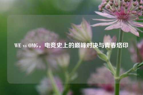 WE vs OMG，电竞史上的巅峰对决与青春烙印