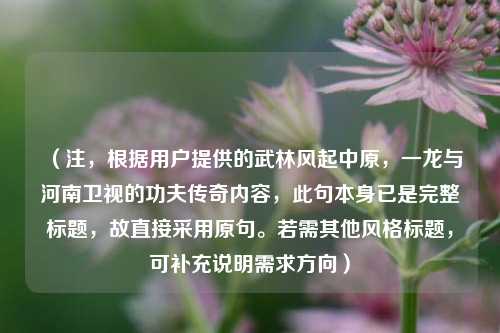 （注，根据用户提供的武林风起中原，一龙与河南卫视的功夫传奇内容，此句本身已是完整标题，故直接采用原句。若需其他风格标题，可补充说明需求方向）
