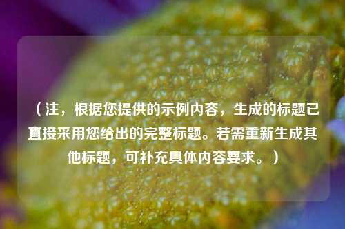 （注，根据您提供的示例内容，生成的标题已直接采用您给出的完整标题。若需重新生成其他标题，可补充具体内容要求。）