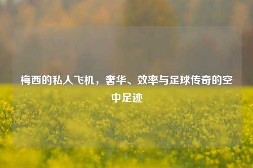 梅西的私人飞机，奢华、效率与足球传奇的空中足迹