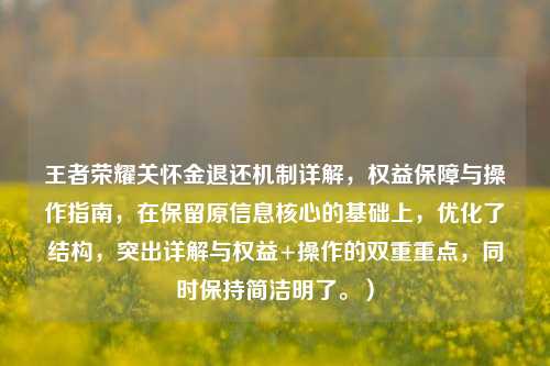 王者荣耀关怀金退还机制详解，权益保障与操作指南，在保留原信息核心的基础上，优化了结构，突出详解与权益+操作的双重重点，同时保持简洁明了。）