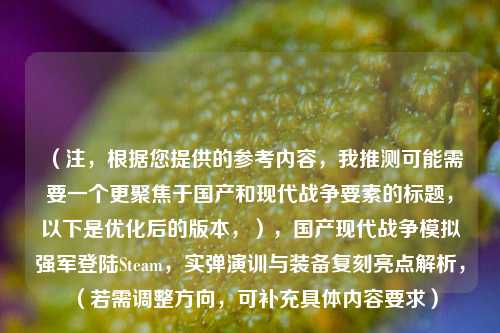（注，根据您提供的参考内容，我推测可能需要一个更聚焦于国产和现代战争要素的标题，以下是优化后的版本，），国产现代战争模拟强军登陆Steam，实弹演训与装备复刻亮点解析，（若需调整方向，可补充具体内容要求）