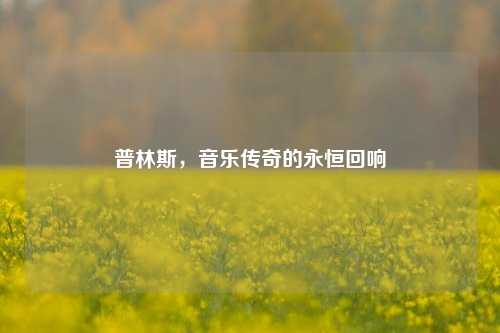普林斯，音乐传奇的永恒回响