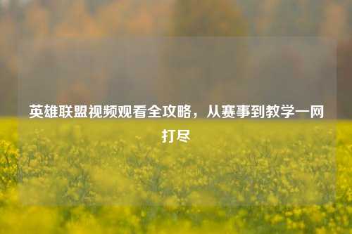 英雄联盟视频观看全攻略，从赛事到教学一网打尽