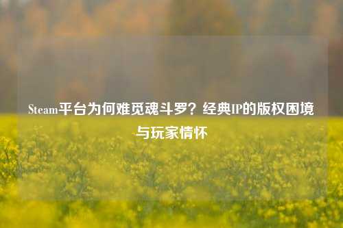 Steam平台为何难觅魂斗罗？经典IP的版权困境与玩家情怀