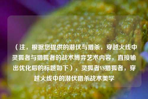 （注，根据您提供的潜伏与猎杀，穿越火线中灵狐者与猎狐者的战术博弈艺术内容，直接输出优化后的标题如下），灵狐者VS猎狐者，穿越火线中的潜伏猎杀战术美学